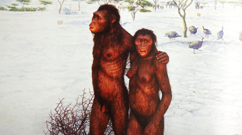 Extrait d’un diaporama conçu par Ian Tattersall, montrant un attendrissant couple d’Australopithecus Afarensis – librement inspiré des traces de pas du site de Laetoli.