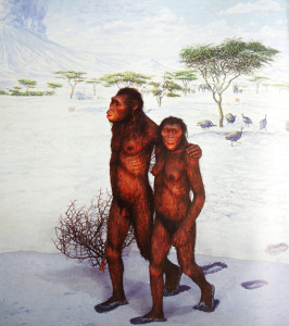 Extrait d’un diaporama conçu par Ian Tattersall, montrant un attendrissant couple d’Australopithecus Afarensis – librement inspiré des traces de pas du site de Laetoli.